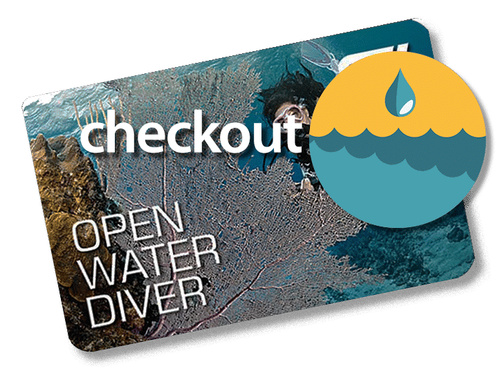 Checkout dives