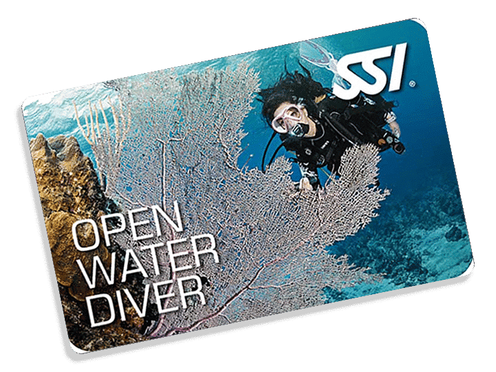 Open Water Diver