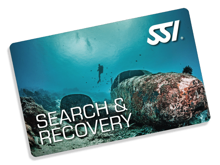 Search and Recovery