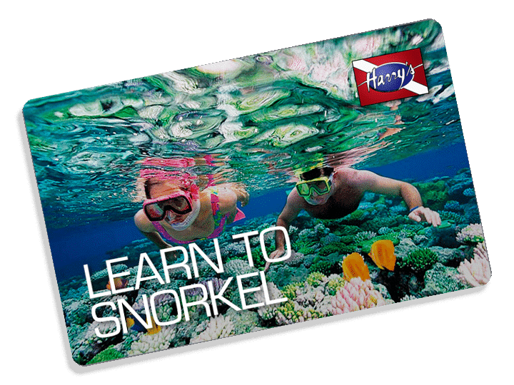 Learn to Snorkel