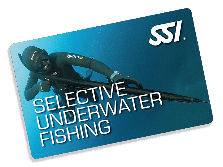 Spearfishing