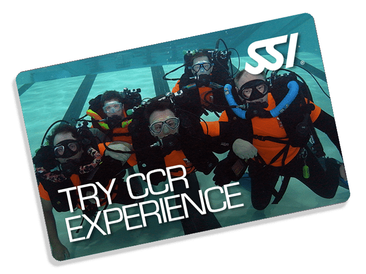 Try CCR Experience