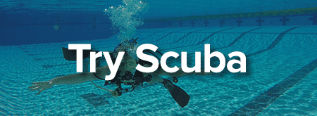 Try Scuba