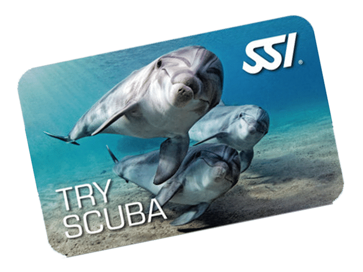 Try Scuba