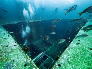 Wreck dive