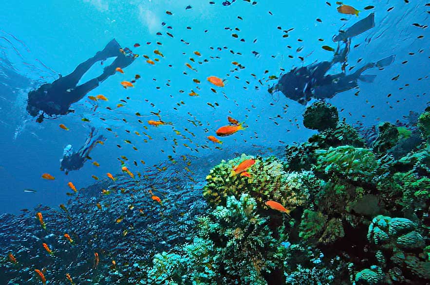 Divers