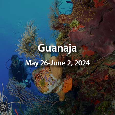 Guanaja