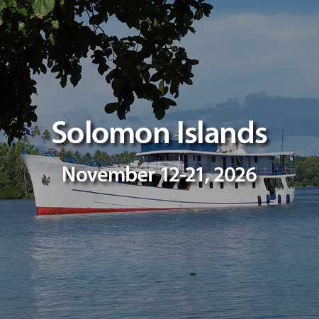 Solomons