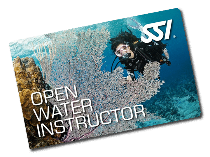 Instructor card