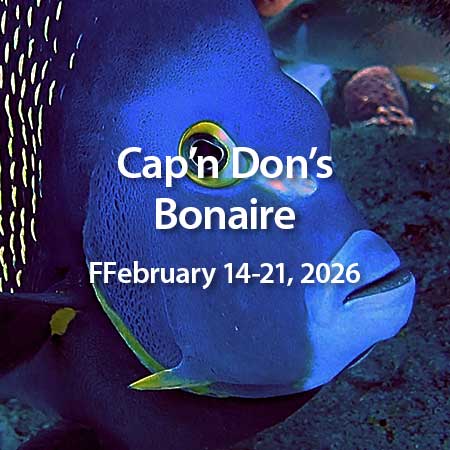 Bonaire